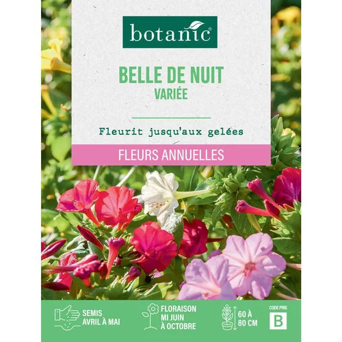 Graines de fleurs Belle de nuit variée botanic®