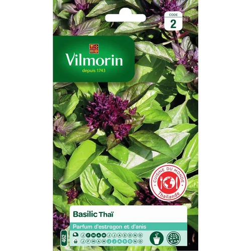Graines de basilic thaï Vilmorin - graines à semer