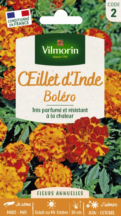 Graines d’œillet d’Inde Bolero Vilmorin - graines à semer