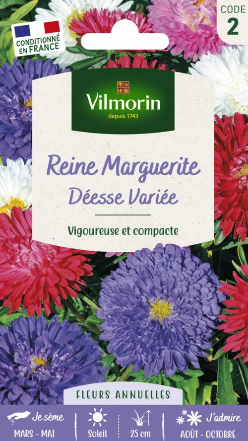 Graines de Reine Marguerite Déesse Variée Vilmorin - graines à semer