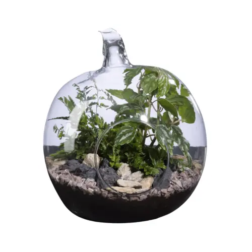 Terrarium Pomme Naturalys - Ø 19 × 20 cm