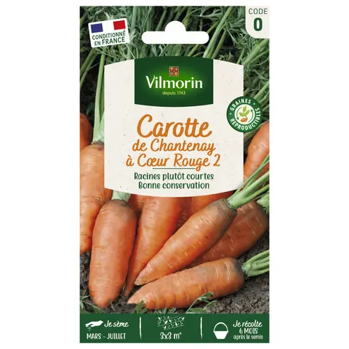 Carotte de Chantenay à cœur rouge 2 Vilmorin - graines à semer