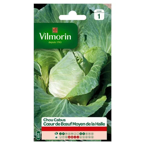 Chou Cabus Cœur de Bœuf Moyen de la Halle Vilmorin - graines à semer