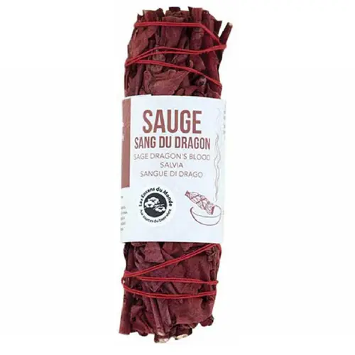 Sauge tressée sang du dragon coloris rouge - 10 cm