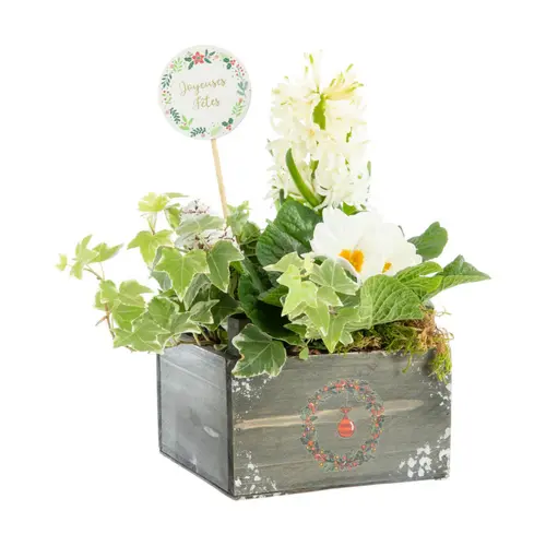 Composition florale Automne Hiver pot bois - 14 x 14 cm