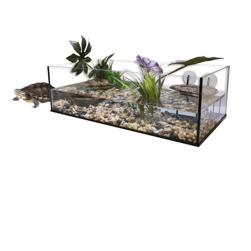 Terrarium pour tortue d'eau aquatique coloris blanc Aquavie kit aqua 100 – 100 x 40 x 30 cm