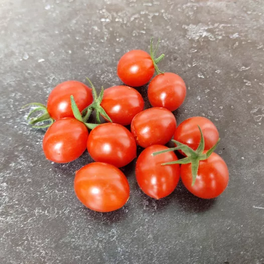Tomate cerise Myriam | Semences bio et reproductibles