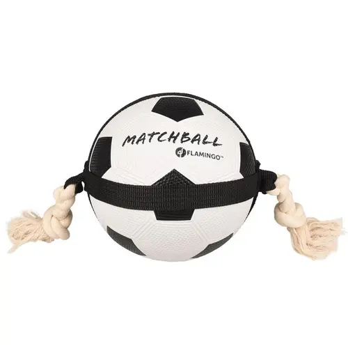 Balle de jeu pour chien motif foot Actionball Flamingo - Ø 19 cm