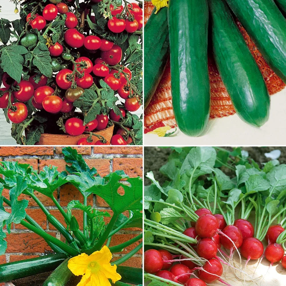 Collection de légumes pour balcon Collection pour balcon