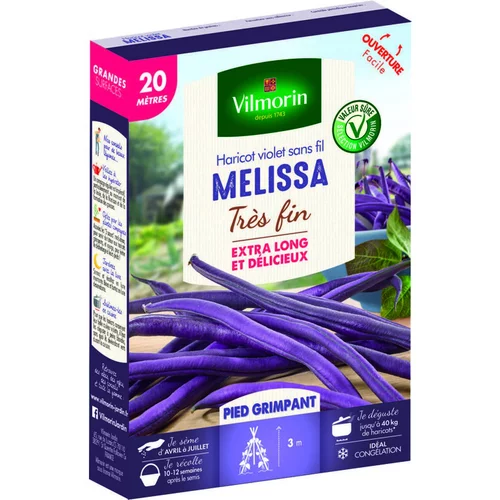 Graines de haricot nain Mélissa Vilmorin - graines à semer