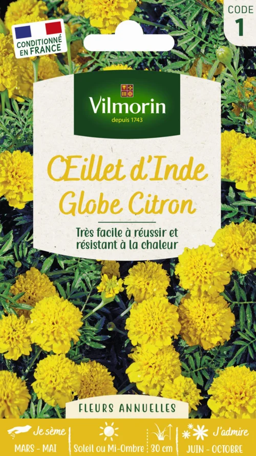 Graines d’œillet d’Inde Globe Citron Vilmorin - graines à semer