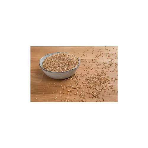 Sarrasin de France en grains - Prix au kilo