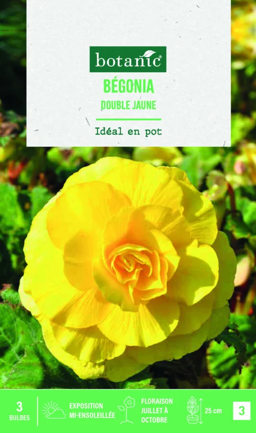 Bulbes de fleurs Bégonia double jaune botanic® - 3 bulbes