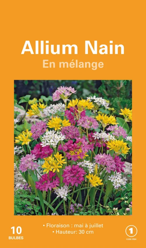 Allium en mélange botanic® - 10 bulbes