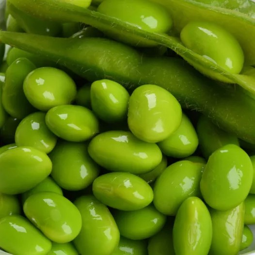Soja Edamame Chiba Green | Semences bio et reproductibles