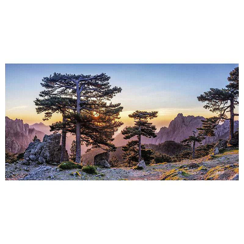 Brise vue imprimé COL DE BAVELLA – H.1.5 x L.3 m, 100% occultant, Made in France par Scenolia + kit de fixation offert