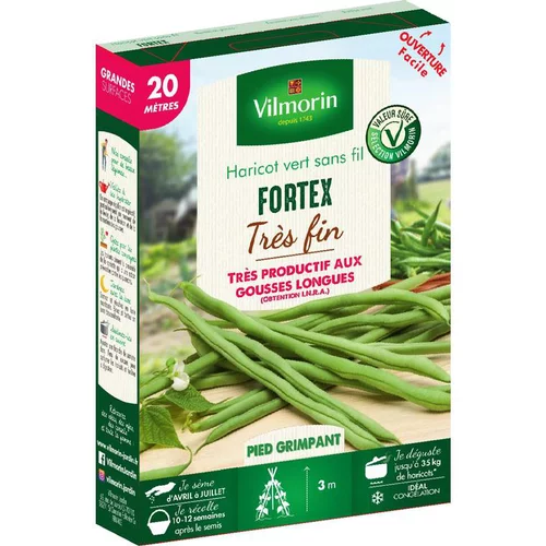 Graines de haricot sans fil Fortex très fin Vilmorin - graines à semer