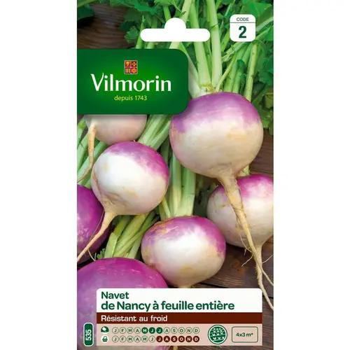 Graines de navet de Nancy Vilmorin - graines à semer