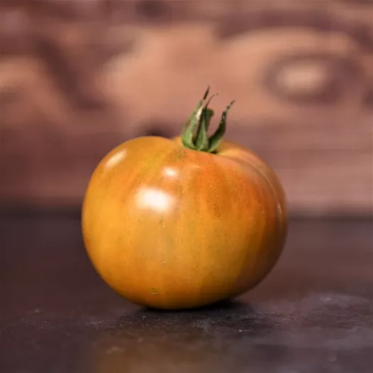Graines bio de Tomate Bronze de Belgique