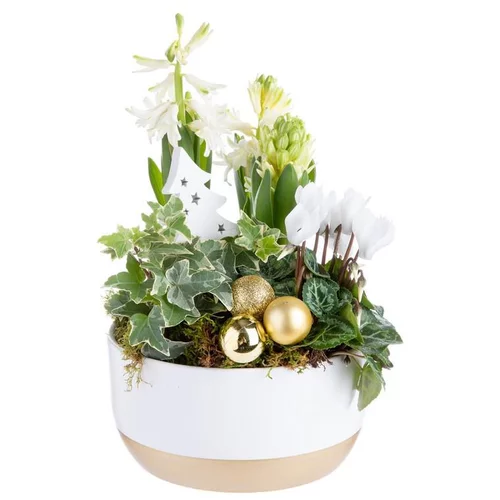 Composition de fleurs multicolore pot en céramique