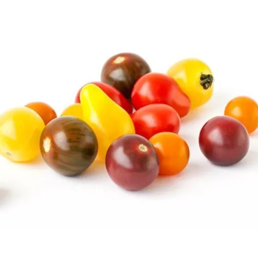 Semences biologiques de Tomate Cerise en mélange