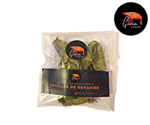 Feuilles de goyavier pour crevettes d'aquarium Gioiashrimp – Sachet de 10
