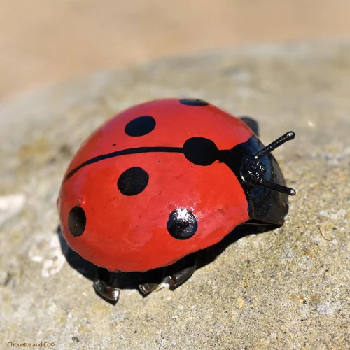 Coccinelle métal PM