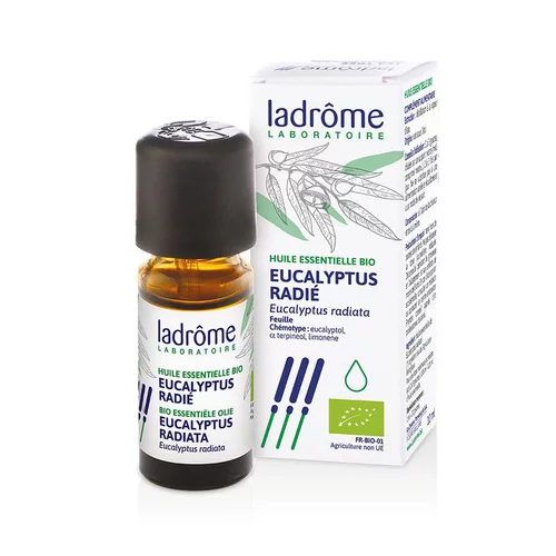 Huile essentielle bio d'Eucalyptus radié Ladrôme - 10 ml