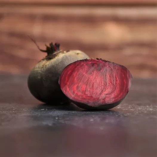 Biologische zaden van Rode biet Globe