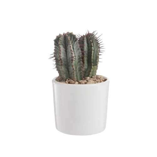 Euphorbia en pot blanc émaillé H 10 x Ø 10 cm