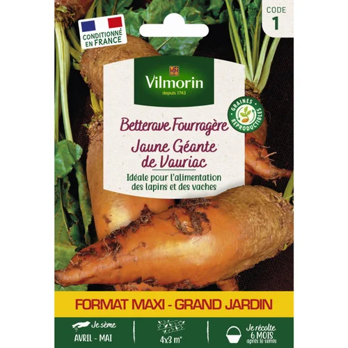 Sachet de graines de betterave fourragère jaune géante de Vauriac format économique