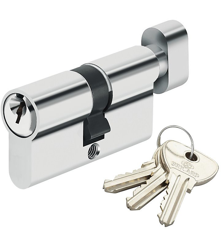 Cylindre de serrure à bouton pour porte barillet 30 × 30 mm Alpha Bricard 3 clés
