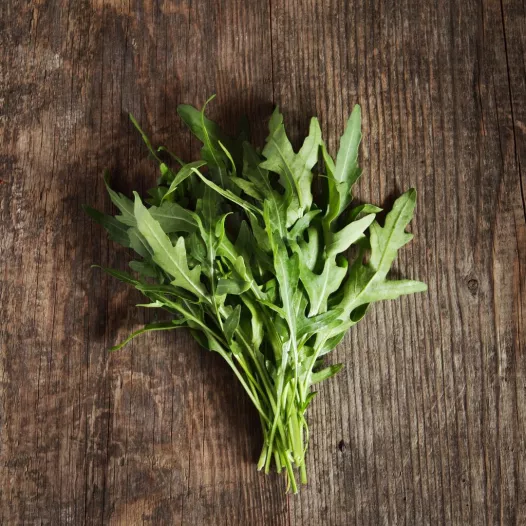 Graines de roquette sauvage bio | Graines aromatiques
