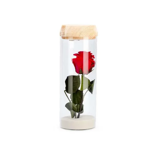 Verrine tube light rouge taille L Ø 8 x H 23 cm