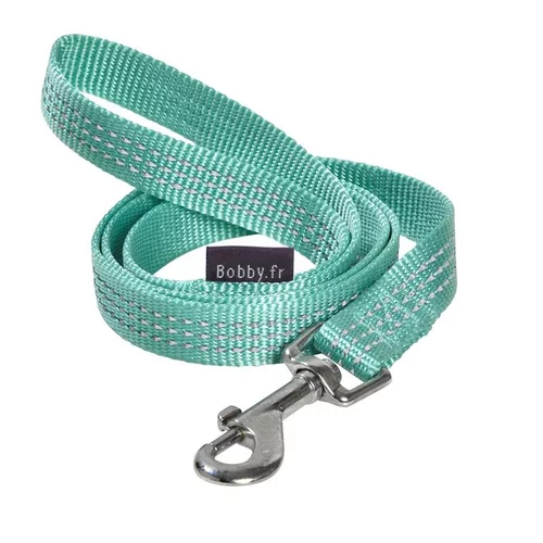 Laisse Safe 20 mm lagon