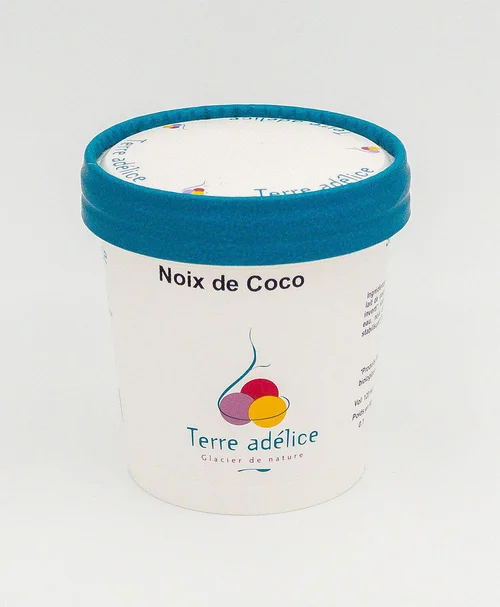 Sorbet noix de coco Terre Adélice - Pot de 120 ml