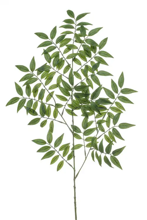 Tige de Ruscus artificiel vert - Ø 38 x H 95 cm