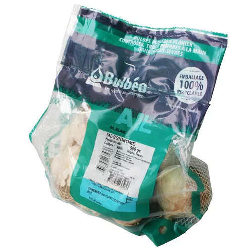 Ail blanc messidrome filet de 500 g calibre 60+