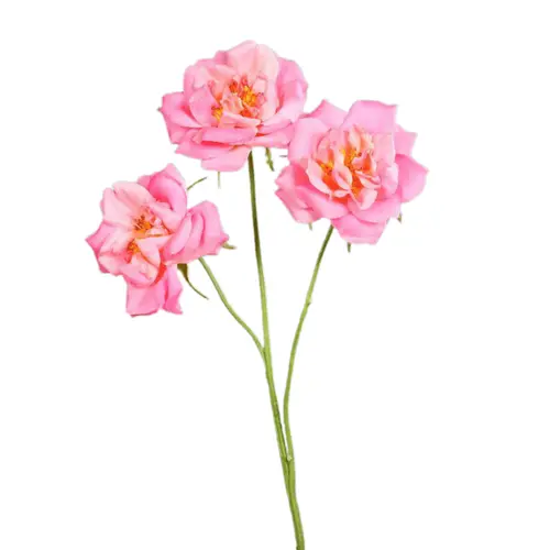 Branche de rose artificielle rose vif à 3 fleurs - 65 cm