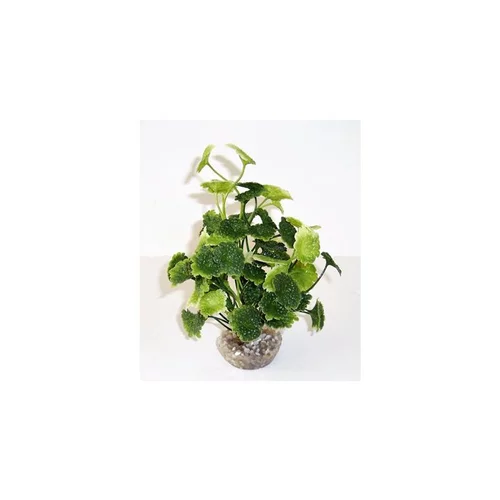 Hydrocolite vert en plastique 19 cm