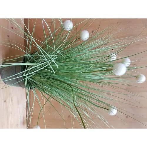Graminée pompon blanche artificielle en PVC x 30 - 36 x 7,5 x 105 cm