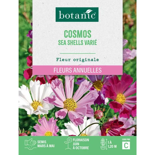 Graines de fleurs de Cosmos sea shells varié botanic®