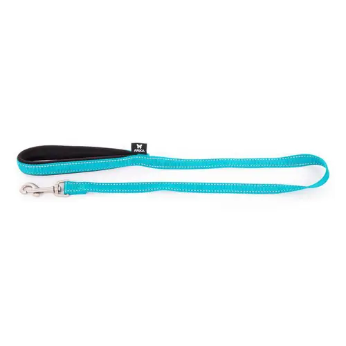 Laisse Neo+ pour chien coloris bleu 1,5x100 cm