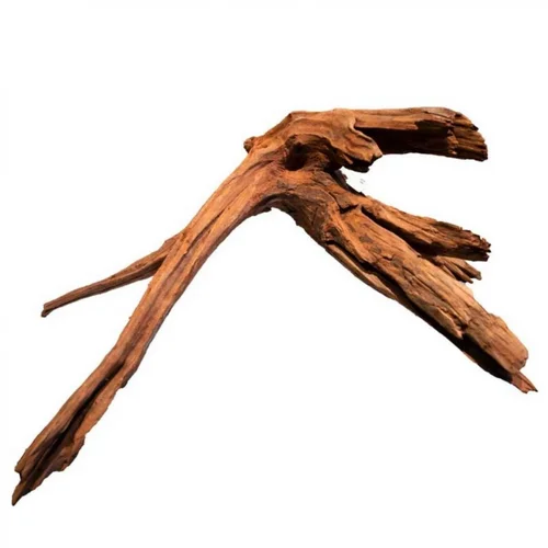 Racine de mangrove naturelle SUPERFISH pour aquarium - 40cm