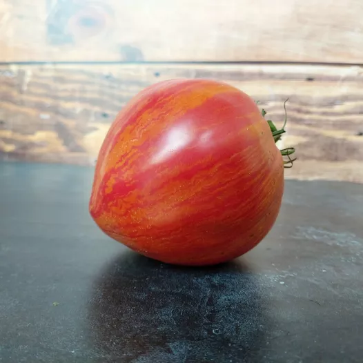 Semences bio et reproductibles de Tomate Rose de Pessac