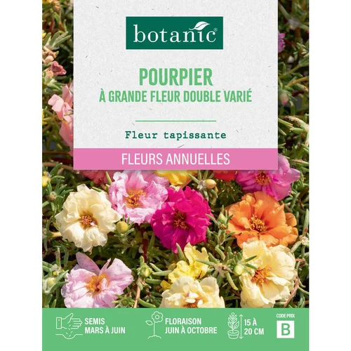 Graines de fleurs de Pourpier à grande fleur double varié botanic®