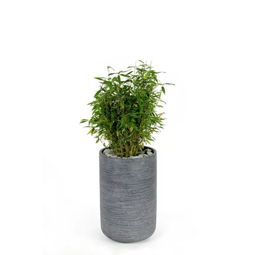 Pot rond Stream haut Anthracite Ø.32 x H.50 cm
