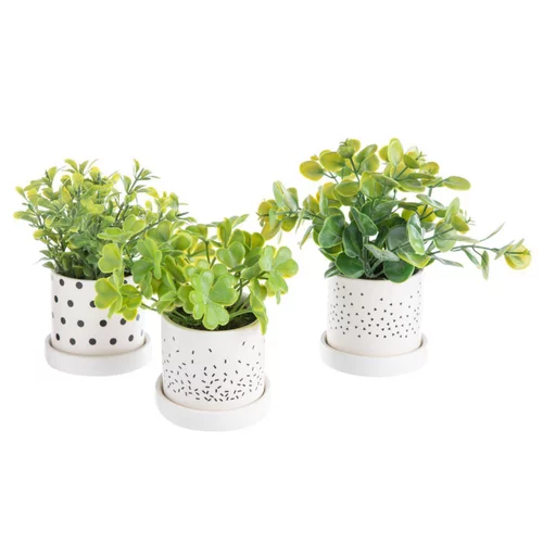 Pot de plante succulente coloris vert en céramique - Ø 8 cm