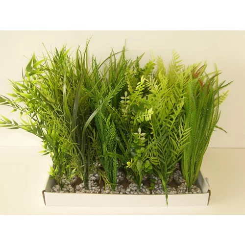 Plante verte pour aquarium coloris vert Labeo