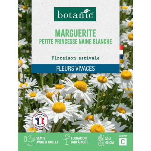 Graines de fleurs de Marguerite petite princesse naine blanche botanic®
